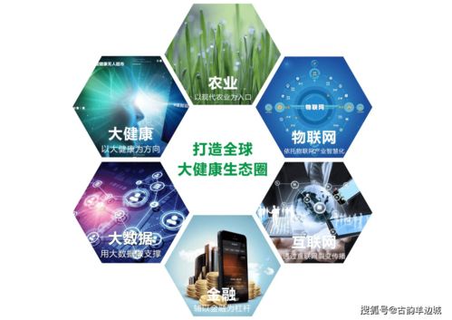 鵬睿實業 全球大健康領域的黑馬品牌，以全產業鏈模式領跑，擬A股上市加速發展